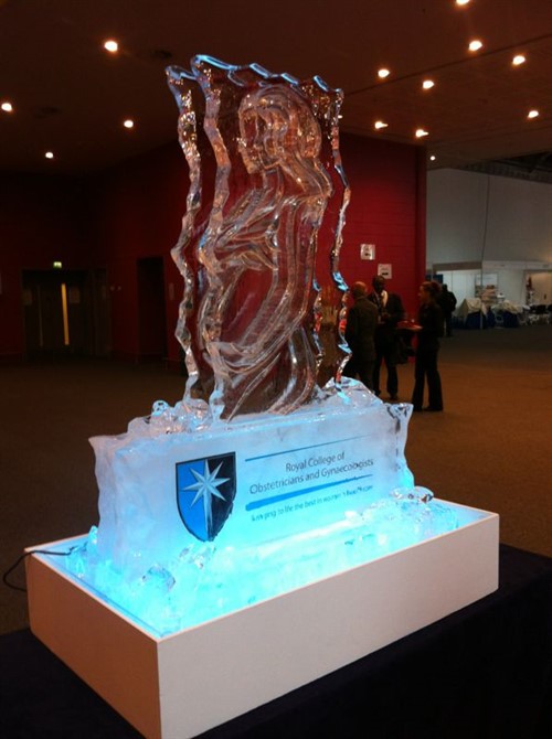 RCOG Ice Sculpture